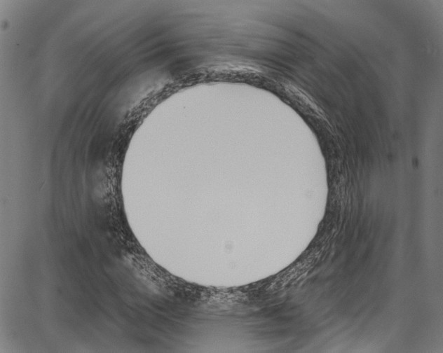 X0000087710824200705040914