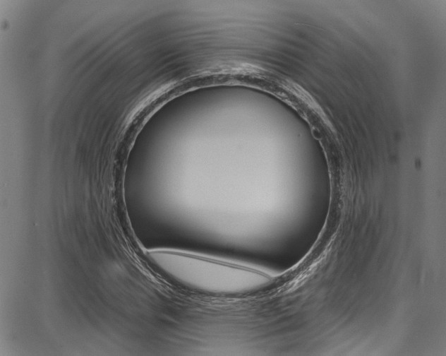 X0000087710826200705040914