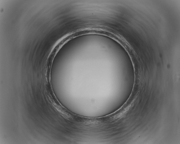 X0000087710830200705040914
