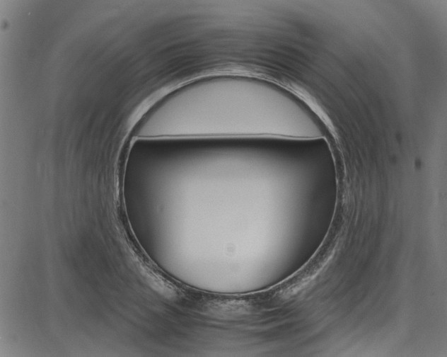 X0000087710837200705040914