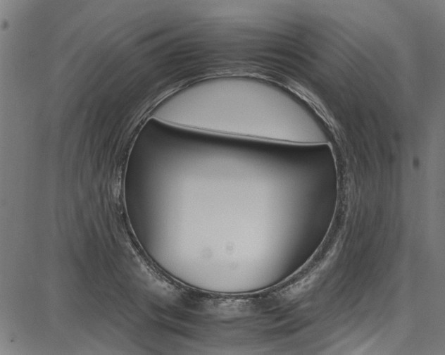 X0000087710841200705040914