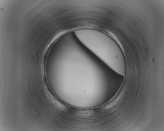 X0000087710843200705040914
