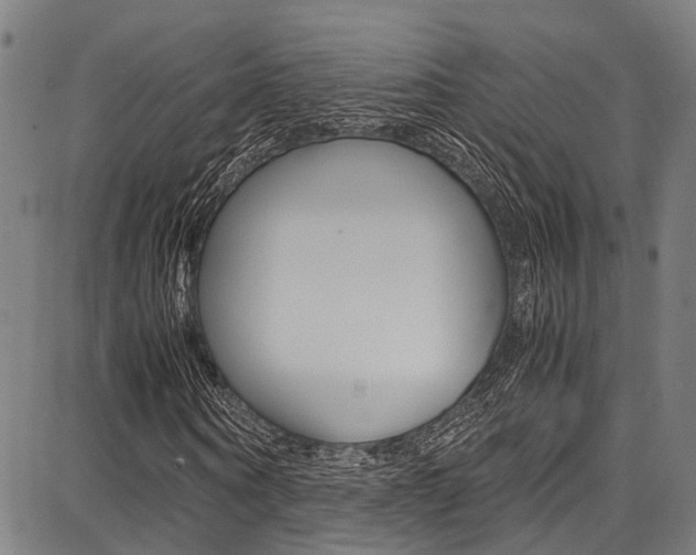 X0000087710866200705040914