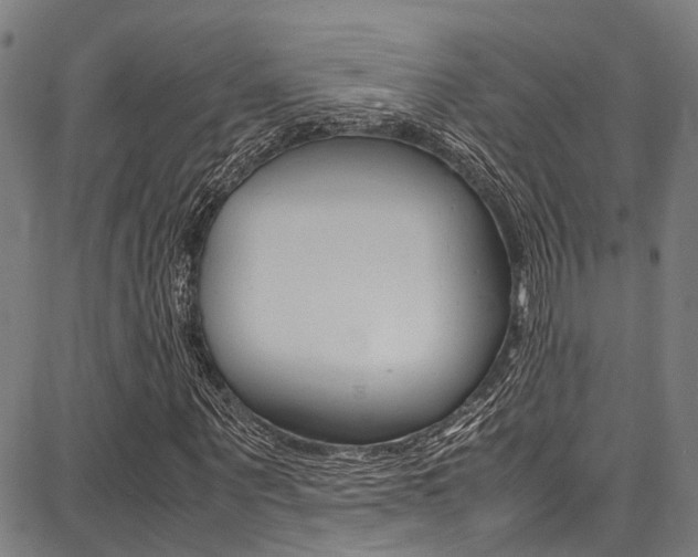 X0000087710867200705040914