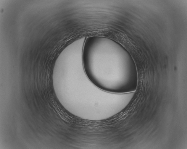 X0000087710868200705040914