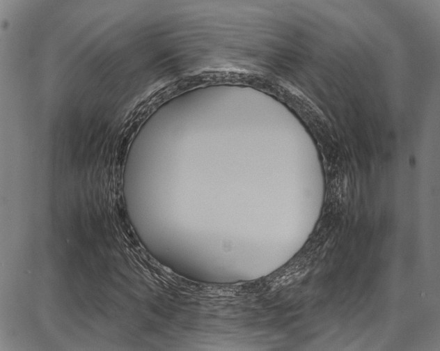 X0000087710870200705040914