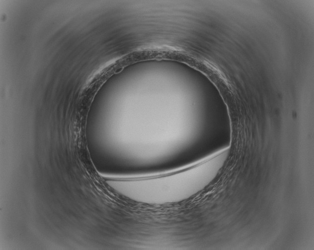 X0000087710872200705040914