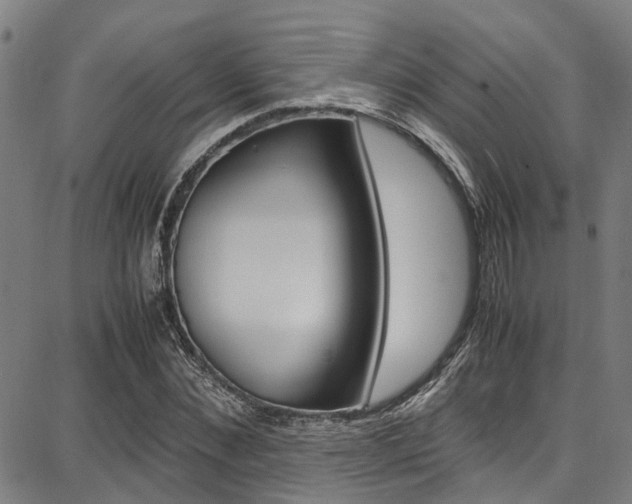 X0000087710876200705040914