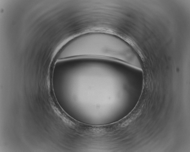X0000087710888200705040913