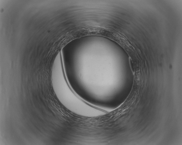 X0000087710916200705040912