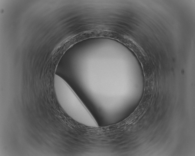 X0000087710919200705040912