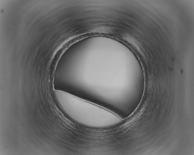 X0000087710923200705040912