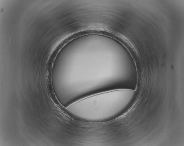 X0000087710926200705040912