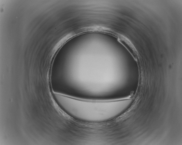 X0000087710946200705040913