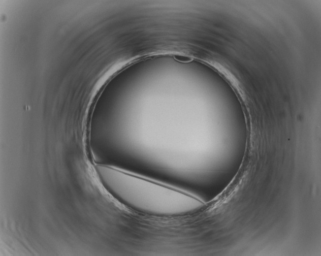 X0000087710949200705040913