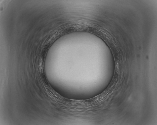X0000087710963200705040912