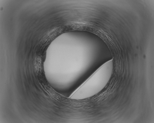 X0000087710964200705040912