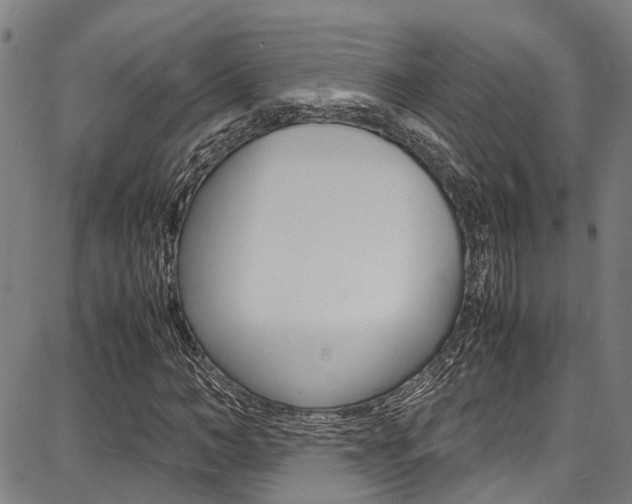 X0000087710966200705040912