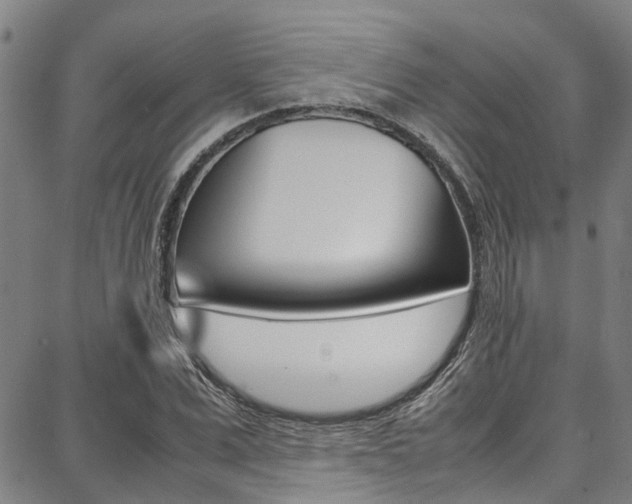 X0000087710975200705040912