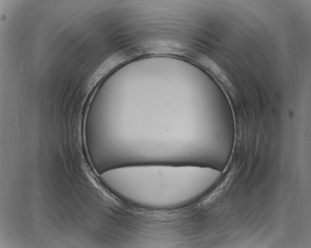 X0000087710986200705040912