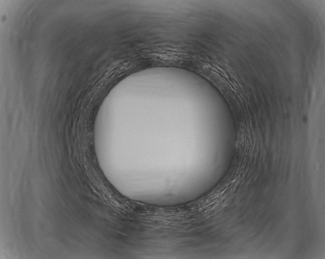 X0000087711009200705040911