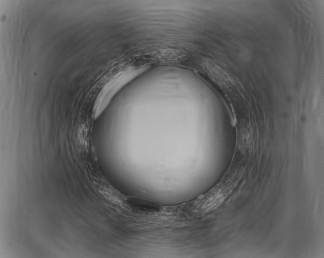X0000087711010200705040911