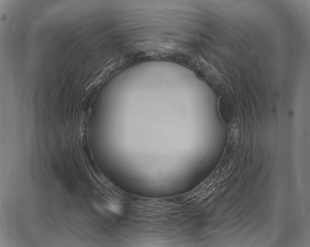 X0000087711012200705040911