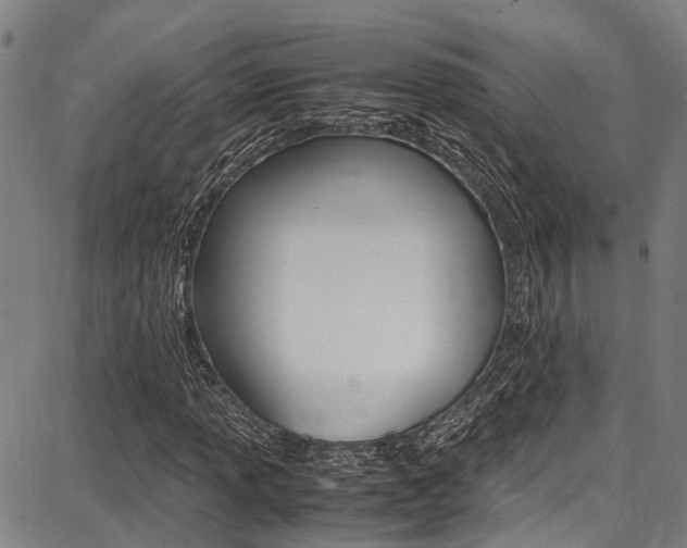 X0000087711013200705040911