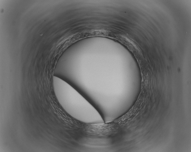 X0000087711015200705040911