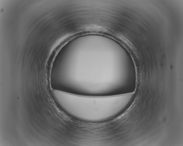 X0000087711022200705040911