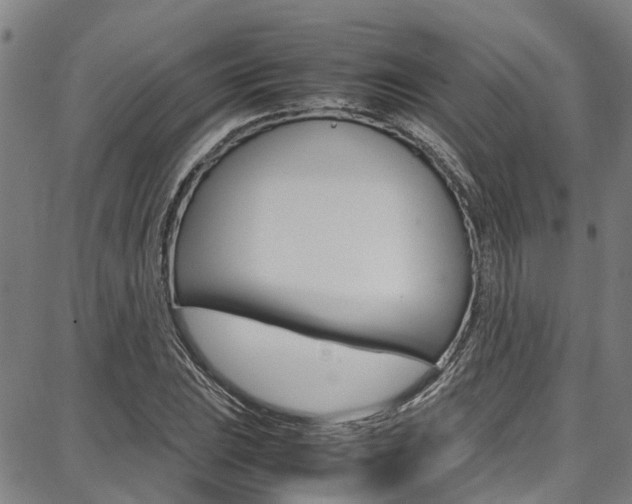 X0000087711023200705040911