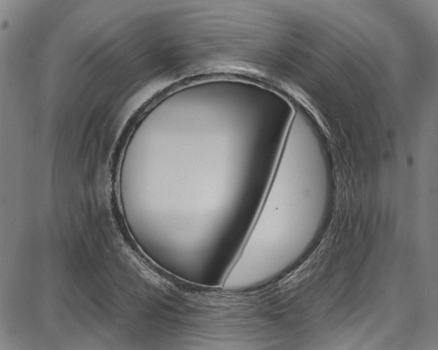 X0000087711024200705040911