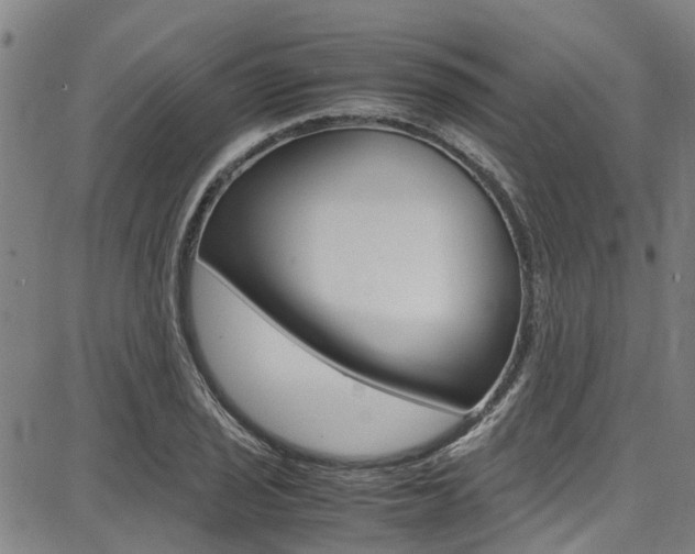 X0000087711029200705040911