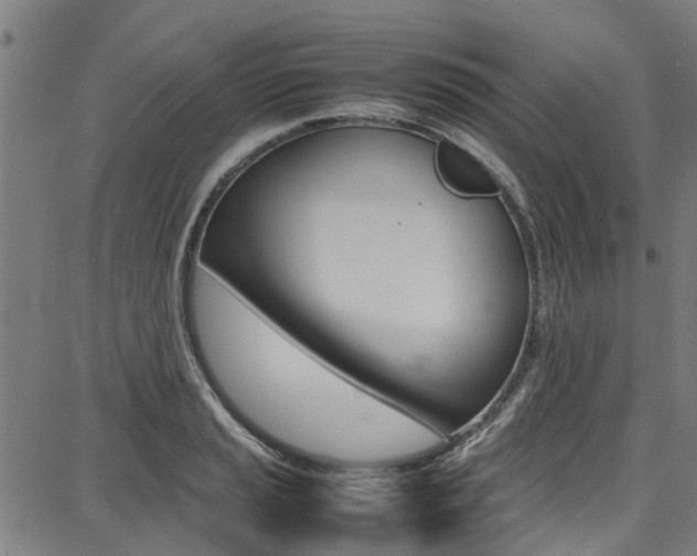 X0000087711037200705040911