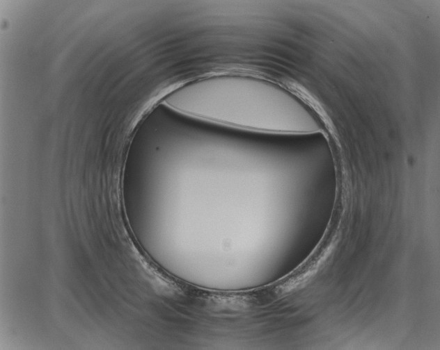 X0000087711041200705040911
