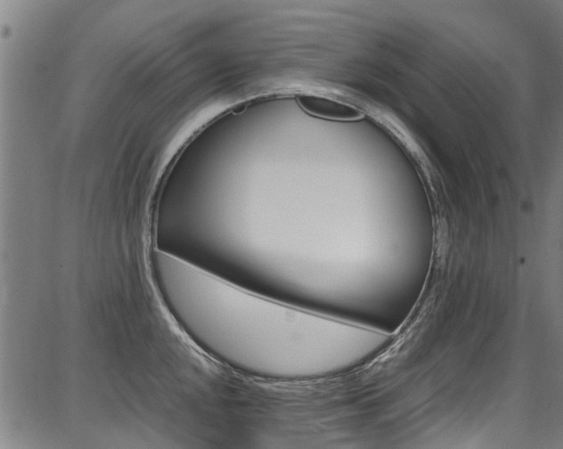 X0000087711048200705040911