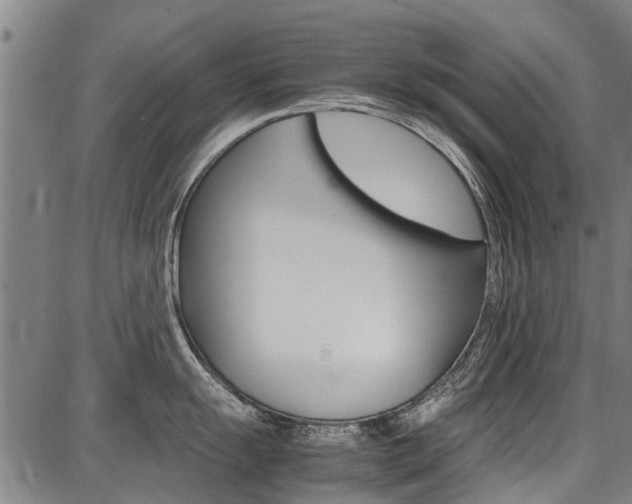 X0000087711055200705040911