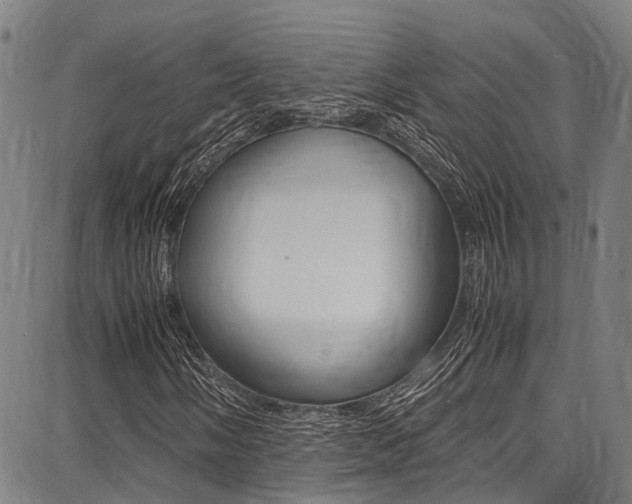 X0000087711058200705040911