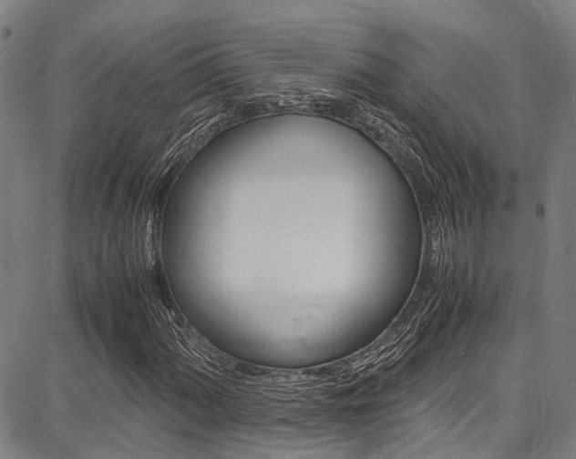 X0000087711060200705040911