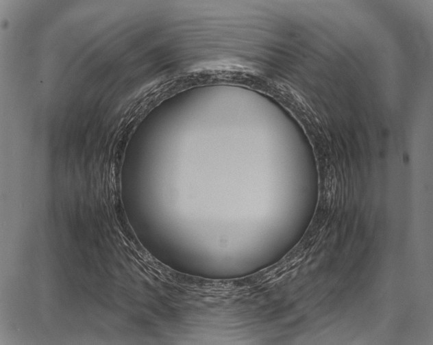 X0000087711062200705040910