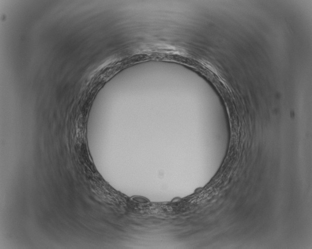 X0000087711063200705040910