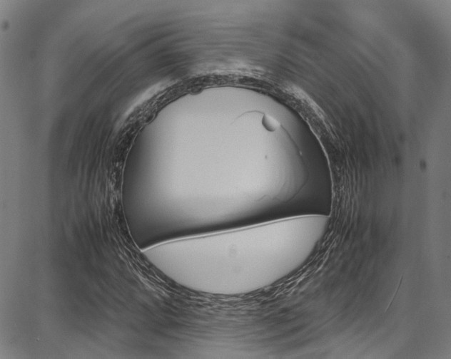 X0000087711064200705040910