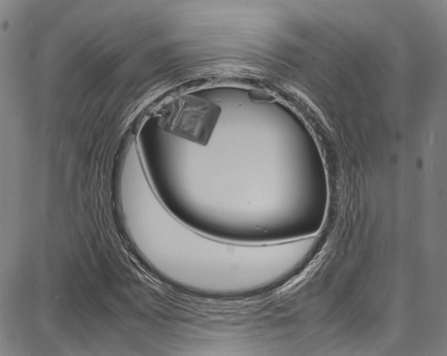 X0000087711065200705040910