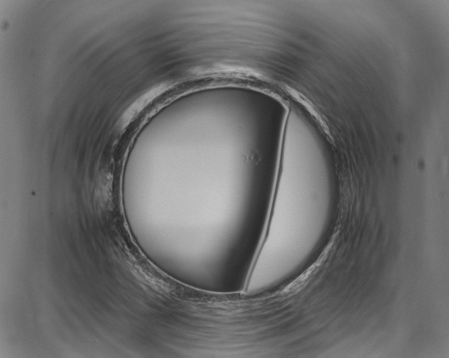 X0000087711066200705040910