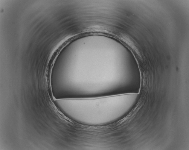 X0000087711068200705040910