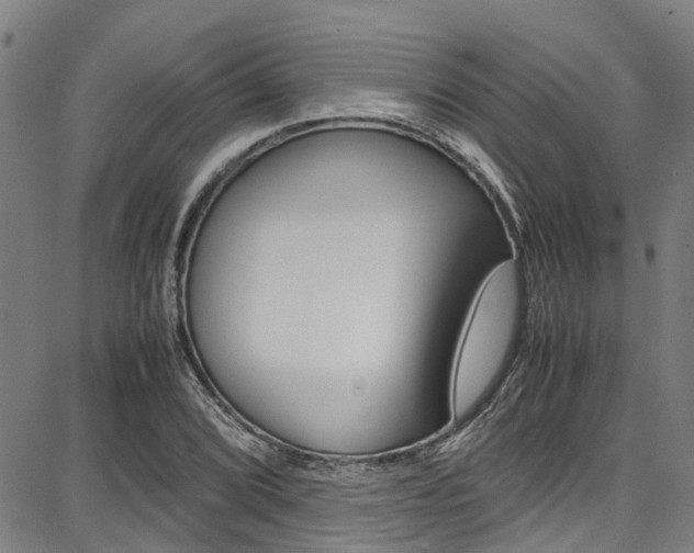 X0000087711072200705040910