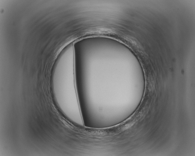 X0000087711073200705040910