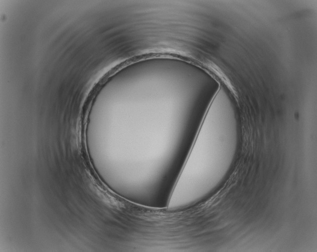 X0000087711076200705040910