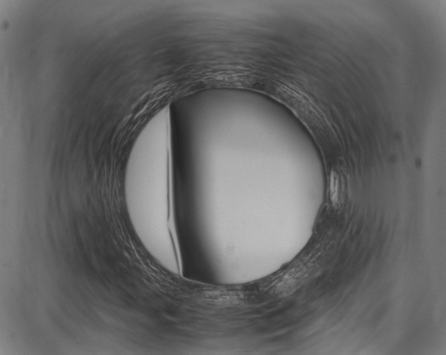 X0000087711107200705040909