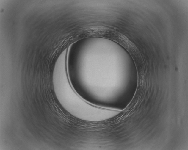 X0000087711108200705040909